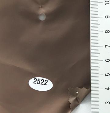 2522 Brown