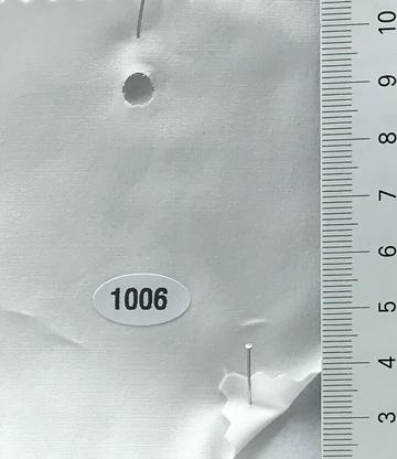 1006 White
