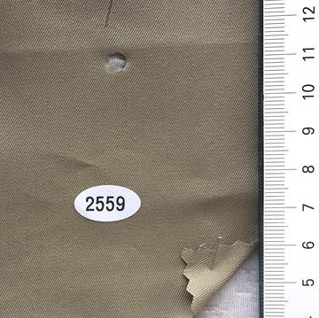 2559 Beige
