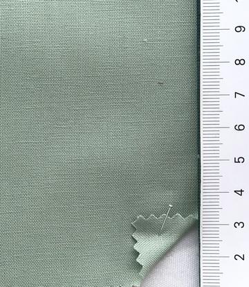 58 Pale Green