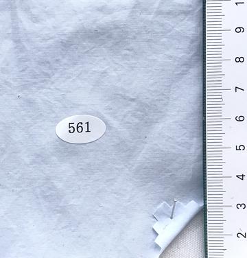 561 Pale Blue