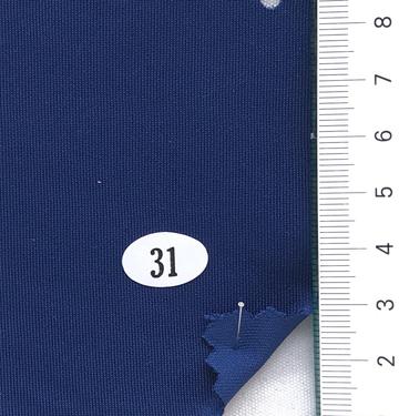 31 Navy