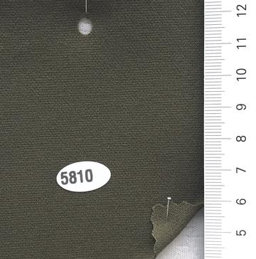 5810 Deep Green