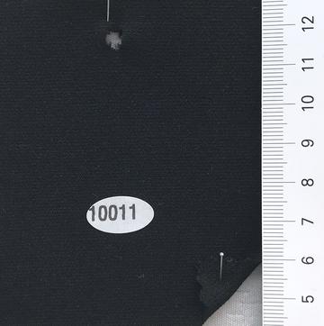 10011 Black