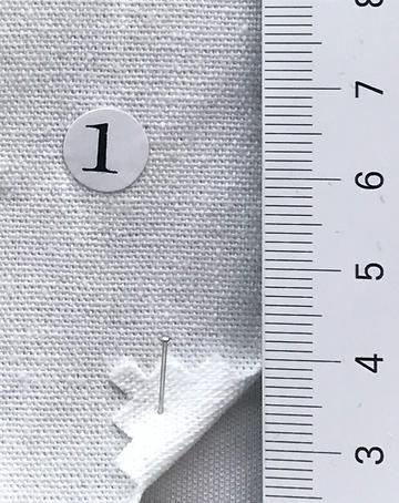 Cotton Canvas