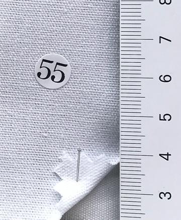 55 White