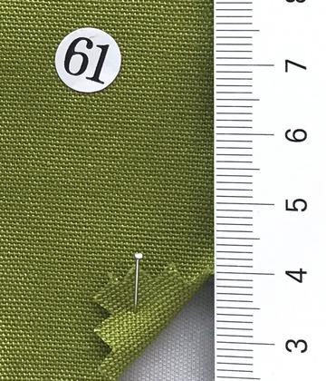 61 Pale Green