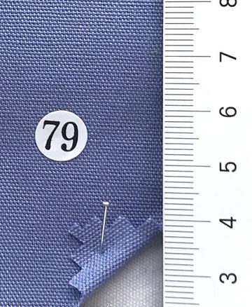 79 Pale Blue