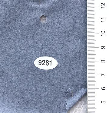 9281 Blue