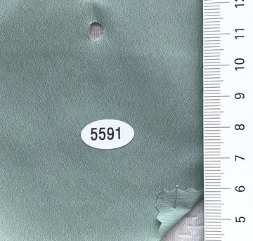 5591 Pale Green