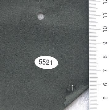 5521 Deep Green