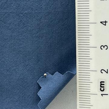 21 Pale Blue