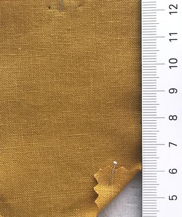 11 Camel