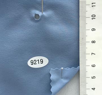 9219 Blue