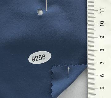 9256 Blue