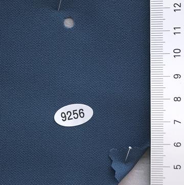9256 Blue