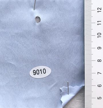9010 Pale Blue