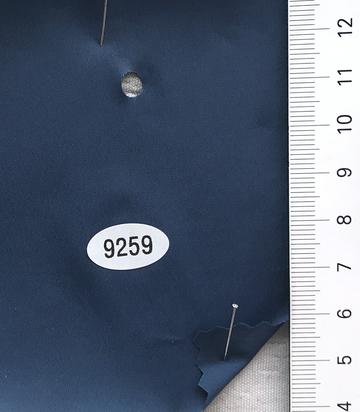 9259 Blue