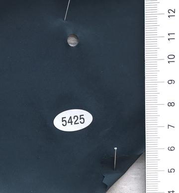 5425 Turquoise