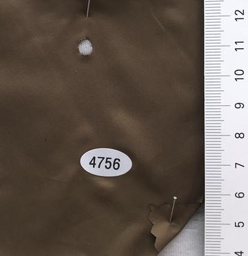 4756 Brown