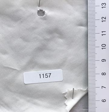 1157 Ivory