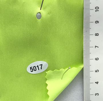 5017 Pale Green