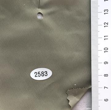 2583 Deep Green