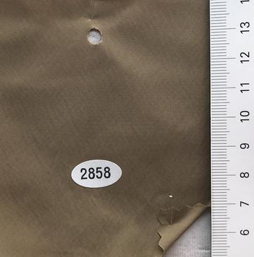 2858 Beige