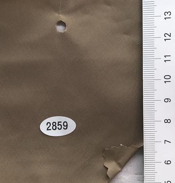2859 Beige