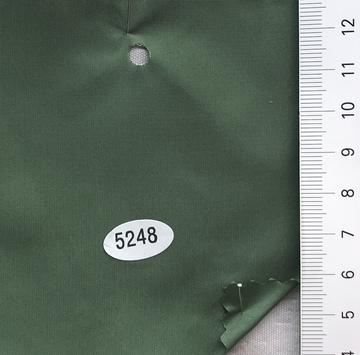 5248 Green