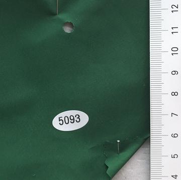 5093 Green