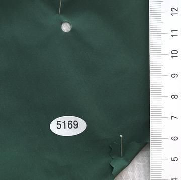 5169 Green