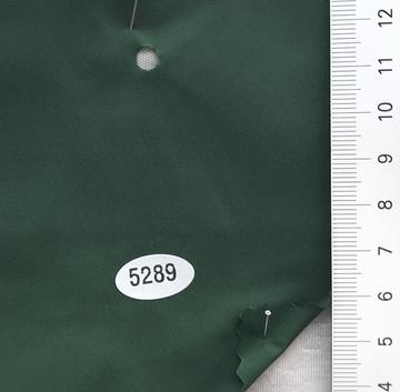 5289 Green