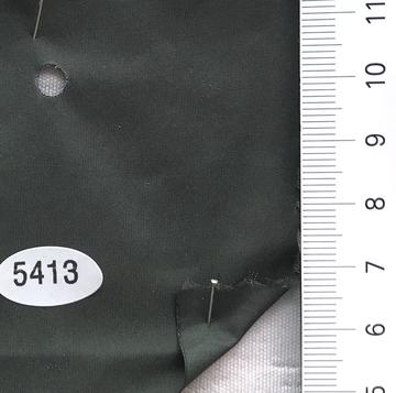 5413 Deep Green