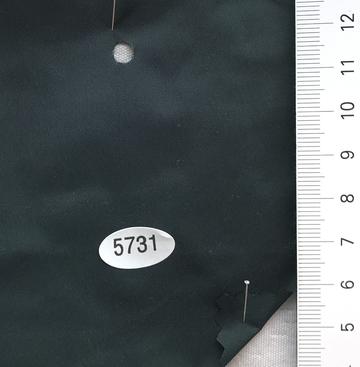 5731 Turquoise