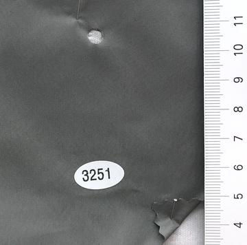 3251 Gray