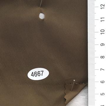 4667 Brown