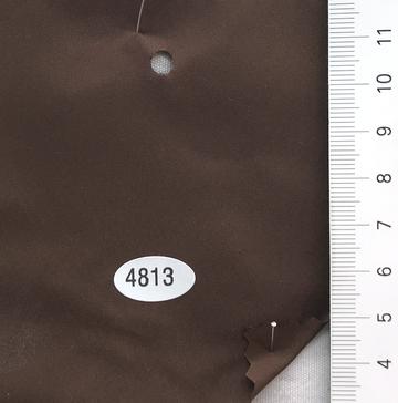 4813 Brown