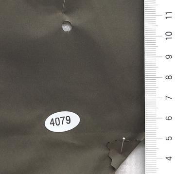 4079 Brown