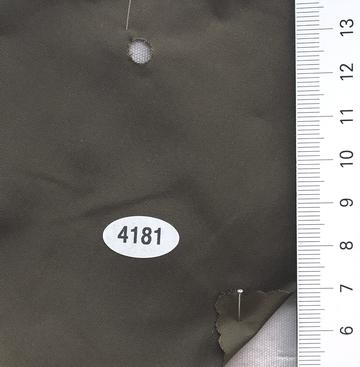 4181 Brown