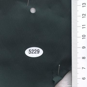 5229 Deep Green