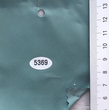 5369 Pale Green