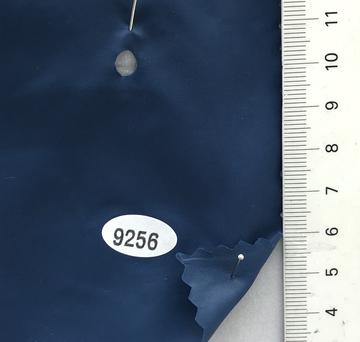 9256 Blue