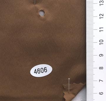 4606 Brown