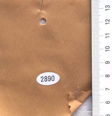 2890 Camel