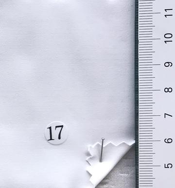 17 White