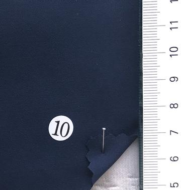 10 Navy