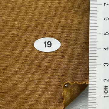 19 Camel