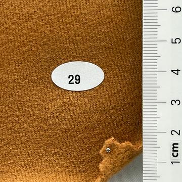29 Camel