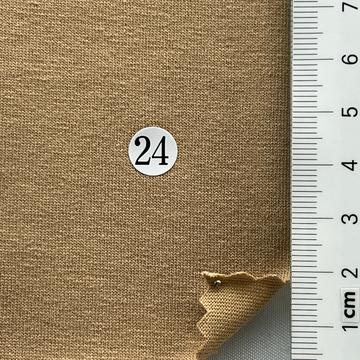 24 Camel